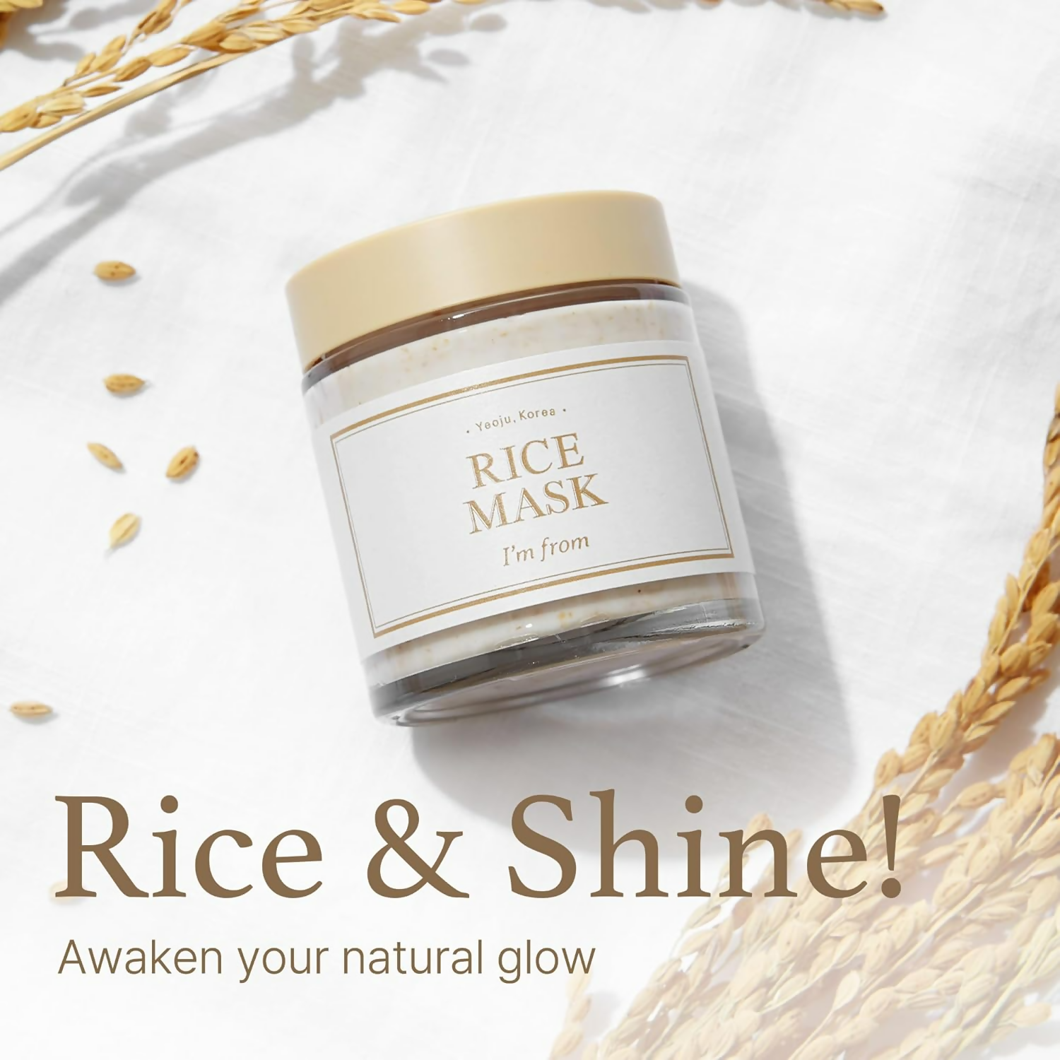 https://cdn.shopify.com/s/files/1/1857/6931/files/sBADwfhmRV.png?v=1731065183
