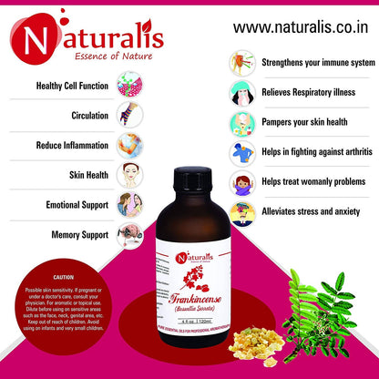 https://cdn.shopify.com/s/files/1/1857/6931/products/sCoImXGbyF.jpg?v=1623493693