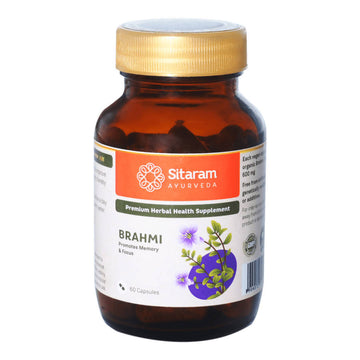 https://cdn.shopify.com/s/files/1/1857/6931/products/sCtPaQaAJL.jpg?v=1640777344