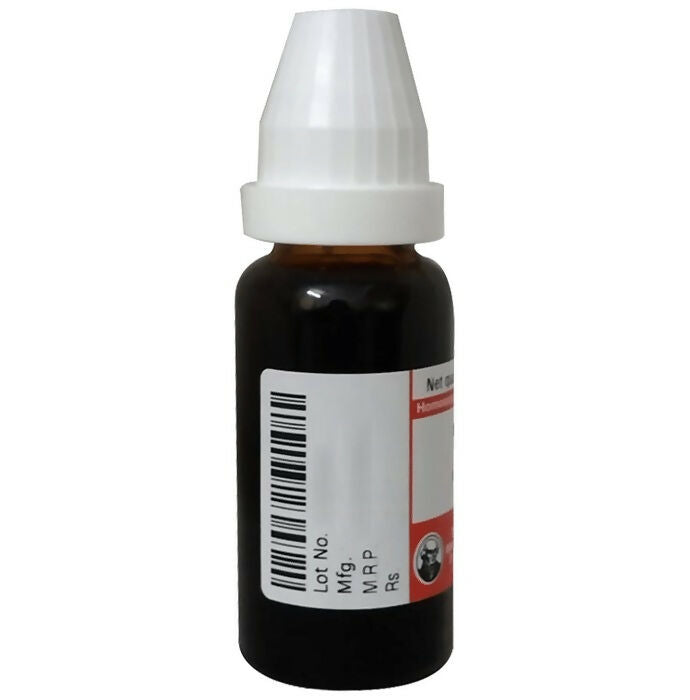 https://cdn.shopify.com/s/files/1/1857/6931/files/sFsag7NWKD.jpg?v=1720180910