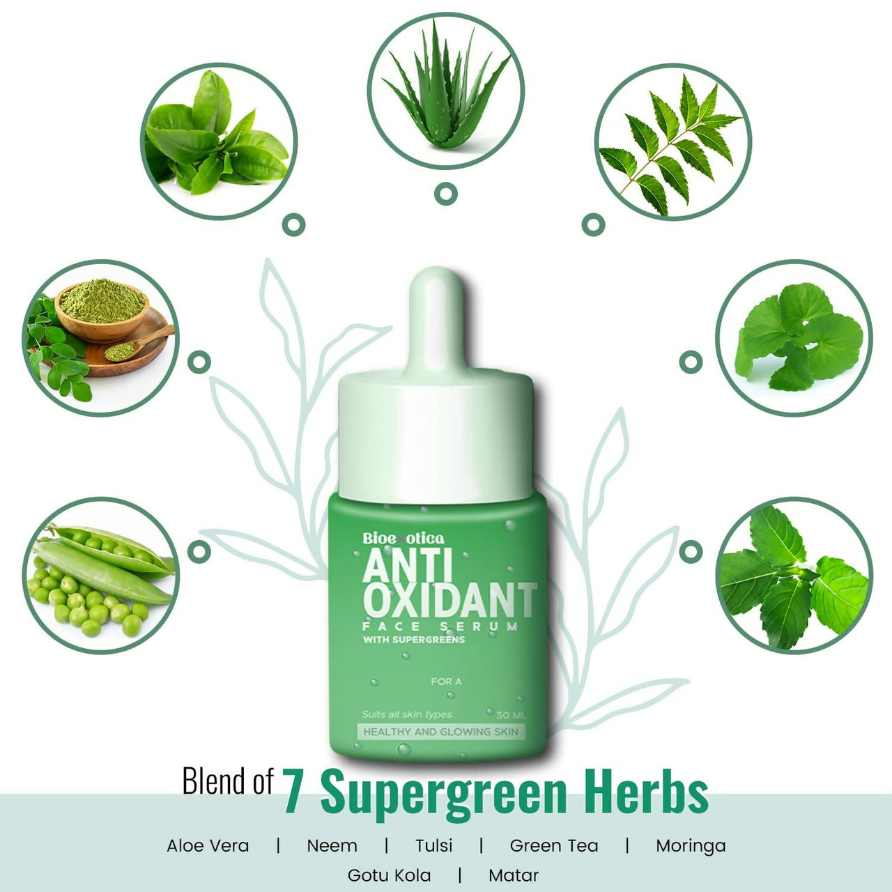 https://cdn.shopify.com/s/files/1/1857/6931/files/sFxp5bEjLj.jpg?v=1728132258