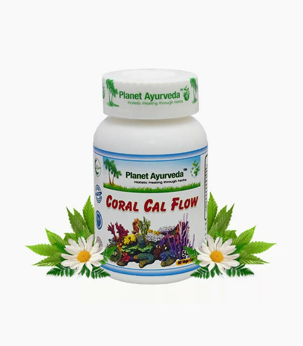 https://cdn.shopify.com/s/files/1/1857/6931/products/sJ4gLBgSzb.jpg?v=1759356032