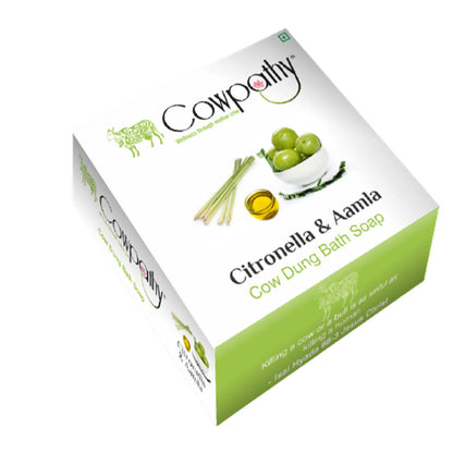 https://cdn.shopify.com/s/files/1/1857/6931/products/sKwdT50L2e.jpg?v=1759273374