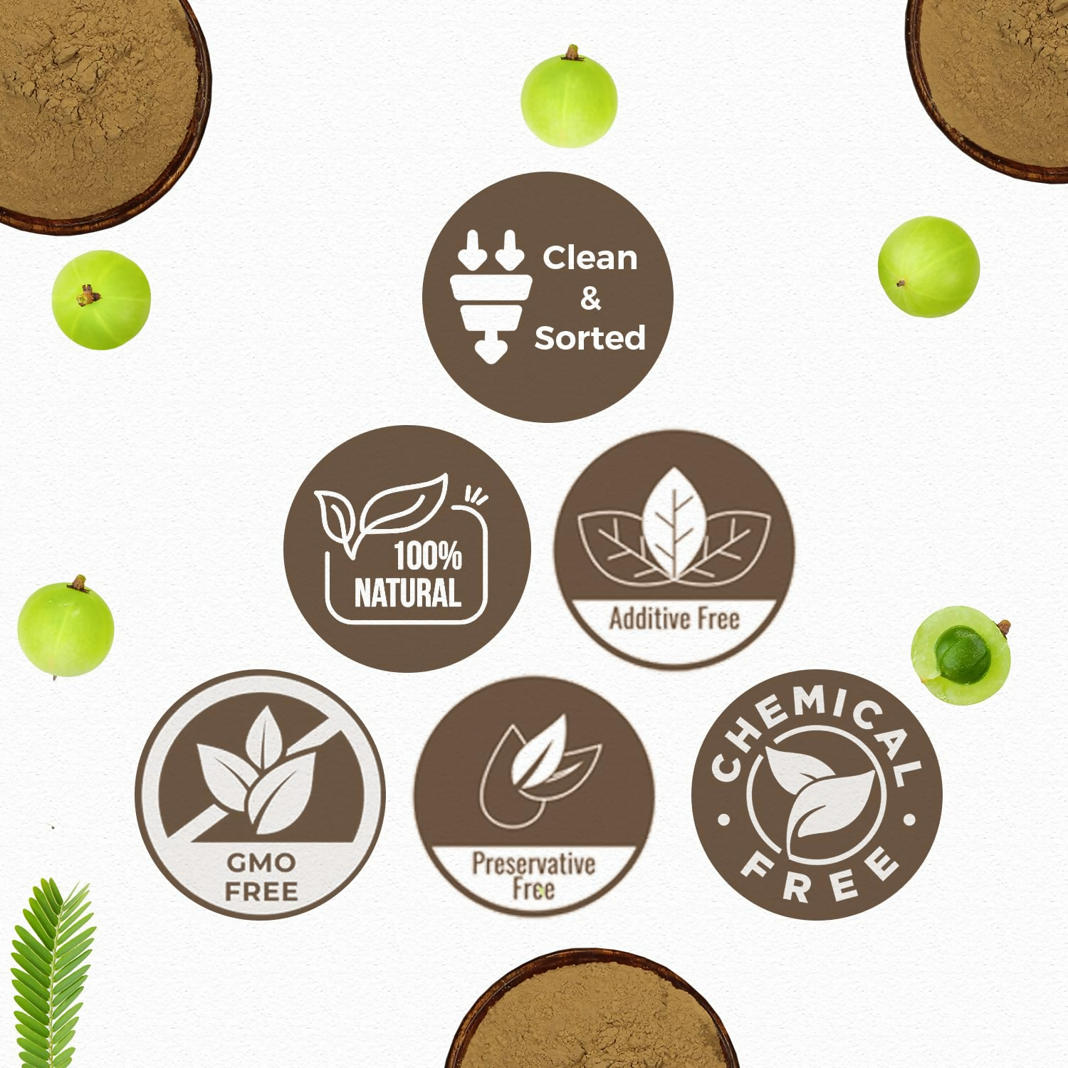 https://cdn.shopify.com/s/files/1/1857/6931/files/sNJZT0YfBd.png?v=1751354691