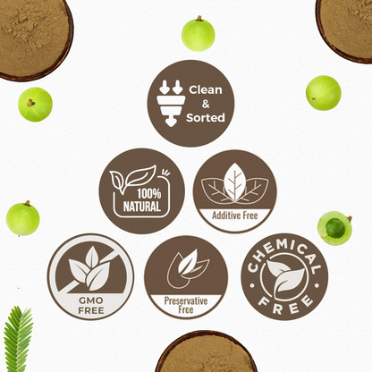 https://cdn.shopify.com/s/files/1/1857/6931/files/sNJZT0YfBd.png?v=1751354691