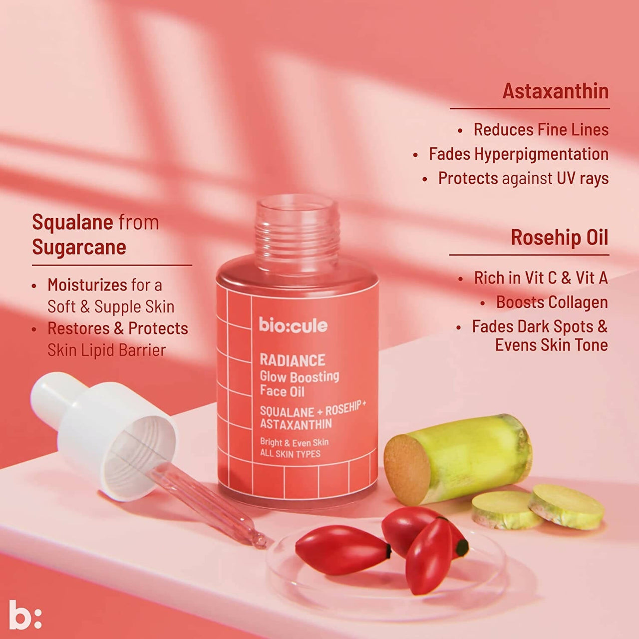 https://cdn.shopify.com/s/files/1/1857/6931/products/sOBFznBVJJ.jpg?v=1686041932