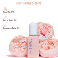 https://cdn.shopify.com/s/files/1/1857/6931/files/sQ2weqdoPr.png?v=1718862634