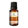 https://cdn.shopify.com/s/files/1/1857/6931/products/sQVTTrz17g.jpg?v=1762343827