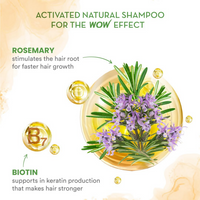 https://cdn.shopify.com/s/files/1/1857/6931/products/sQiFU1twe4.png?v=1724670362