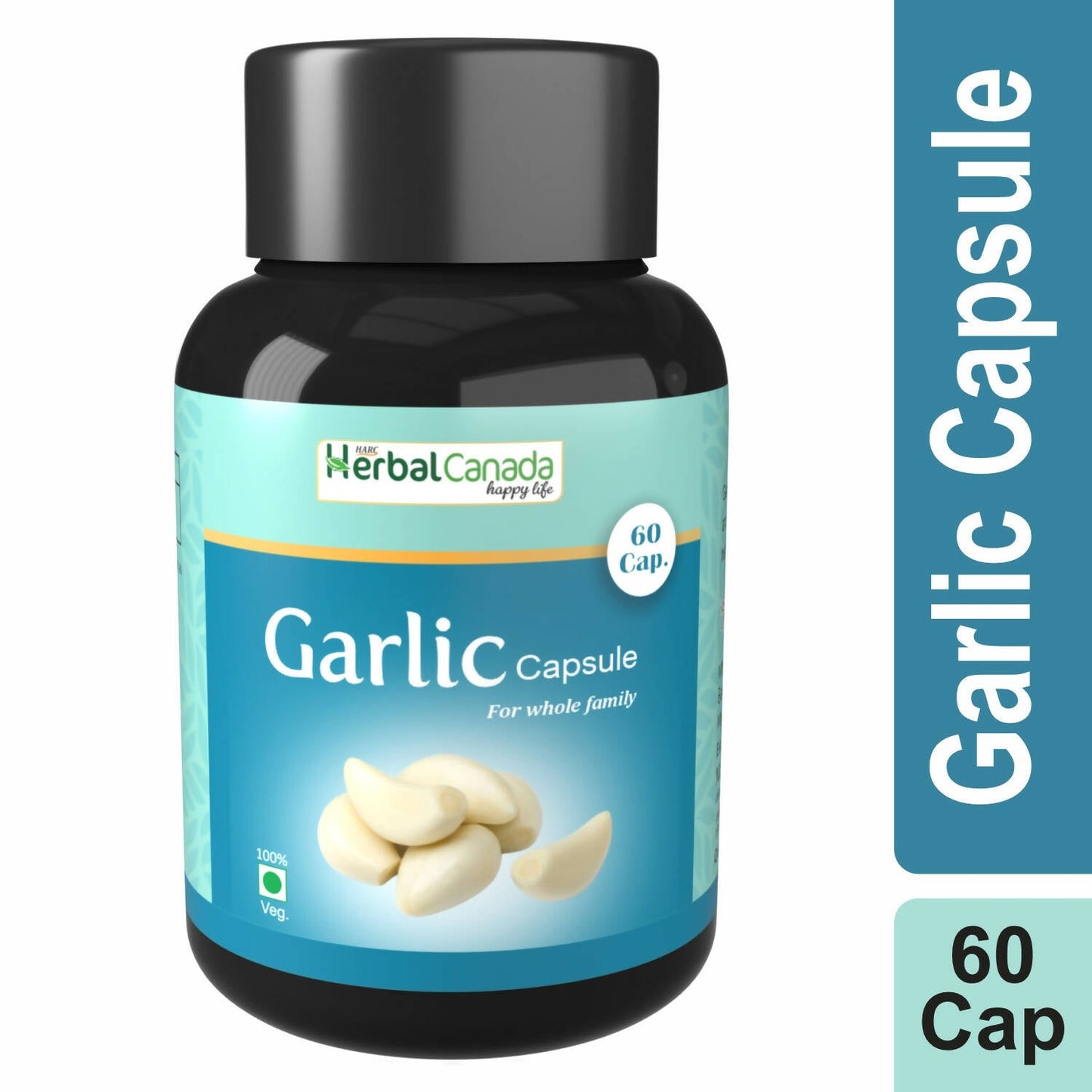 https://cdn.shopify.com/s/files/1/1857/6931/products/sRPiKYtIJU.jpg?v=1702465901