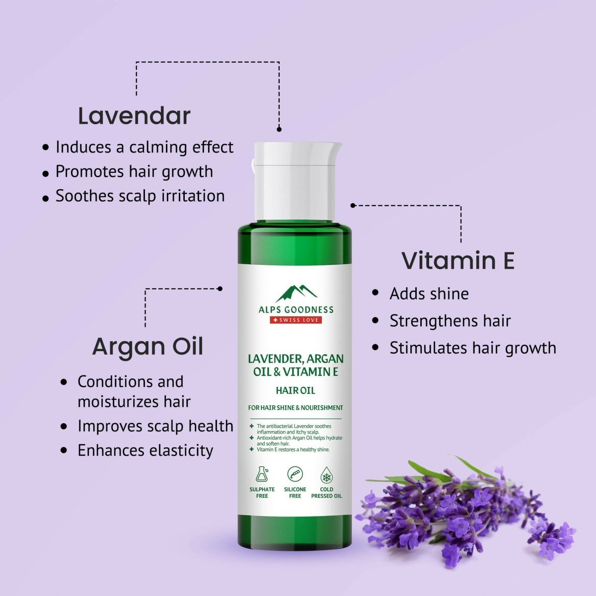 https://cdn.shopify.com/s/files/1/1857/6931/files/sRpXwCzy0P-283138.jpg?v=1736146685