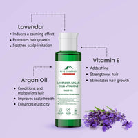 https://cdn.shopify.com/s/files/1/1857/6931/files/sRpXwCzy0P-283138.jpg?v=1736146685