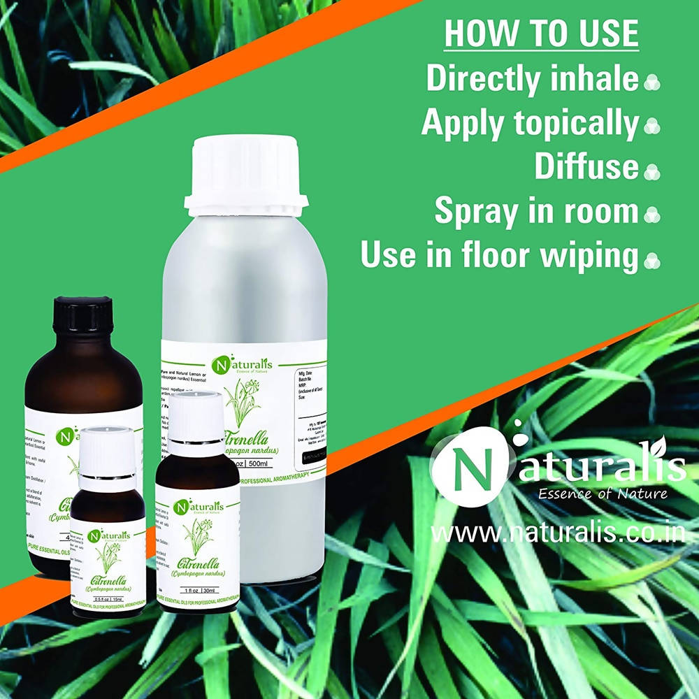 https://cdn.shopify.com/s/files/1/1857/6931/products/sSuYTDqAlv.jpg?v=1623485126
