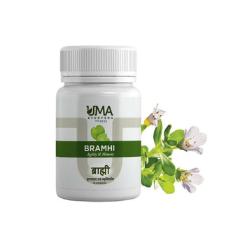 https://cdn.shopify.com/s/files/1/1857/6931/products/sUOB7vQf31.jpg?v=1762426885