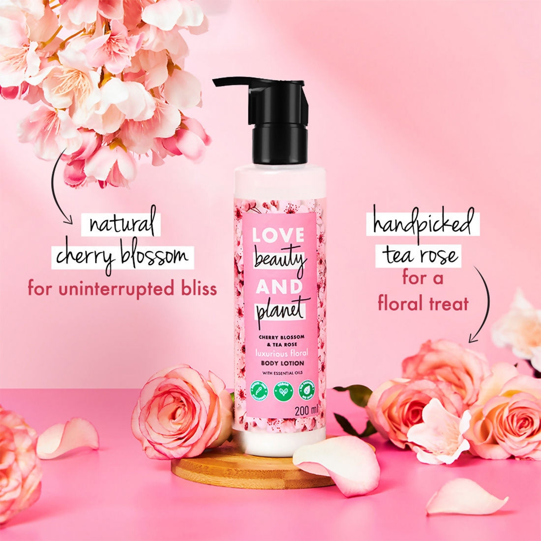 https://cdn.shopify.com/s/files/1/1857/6931/products/sXJkCGtEws.png?v=1700306147
