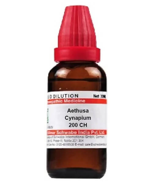 https://cdn.shopify.com/s/files/1/1857/6931/products/sbW11EFEac.jpg?v=1641377308