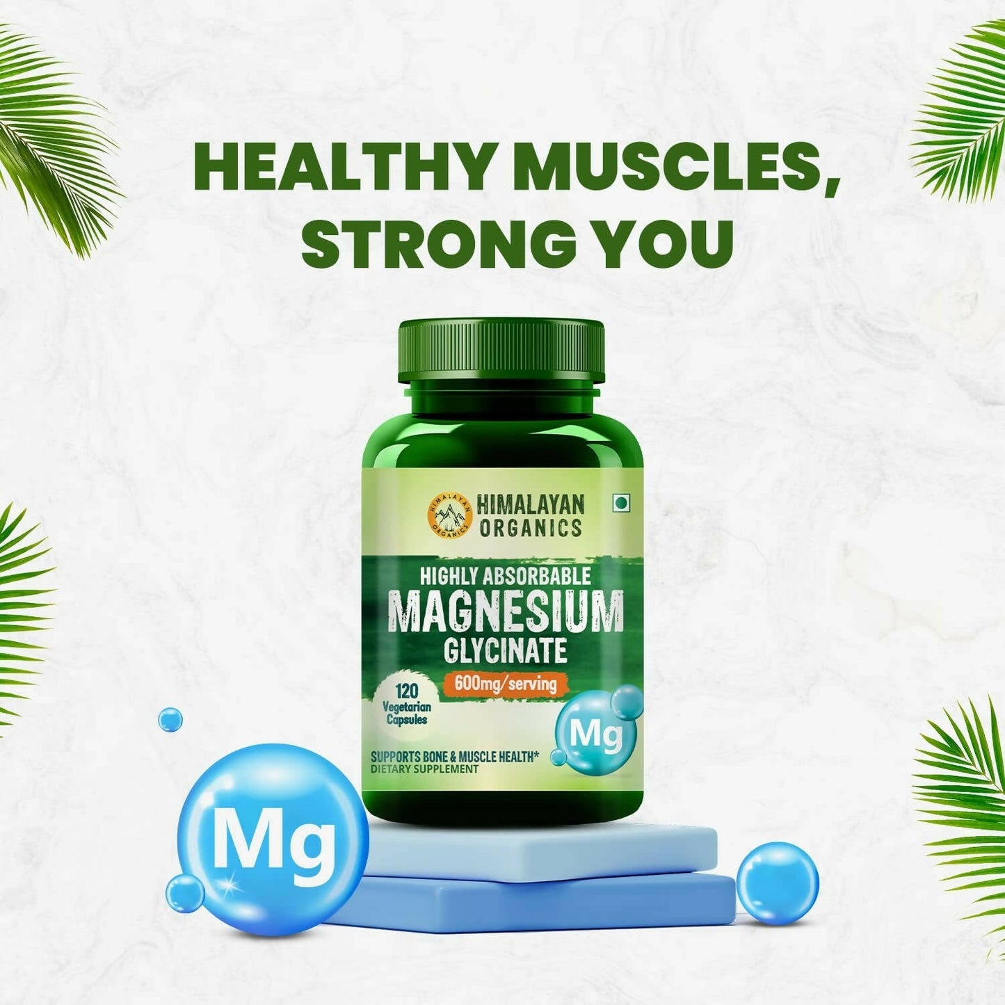 https://cdn.shopify.com/s/files/1/1857/6931/products/sc0tpDaSHs.jpg?v=1695212551