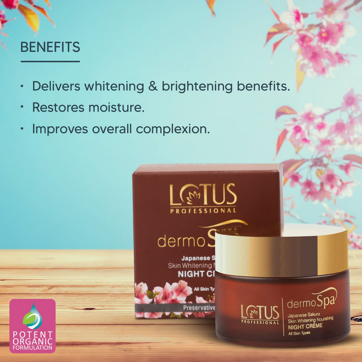 https://cdn.shopify.com/s/files/1/1857/6931/files/sdsRLZsGEw.png?v=1720524409