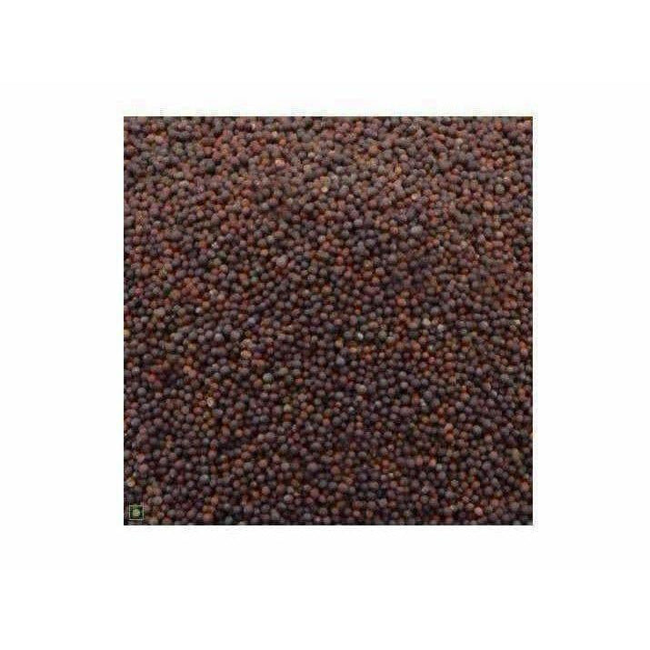 https://cdn.shopify.com/s/files/1/1857/6931/products/sdvygDmx11.jpg?v=1619963965