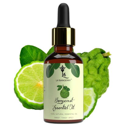 https://cdn.shopify.com/s/files/1/1857/6931/products/shay6OnYEL.jpg?v=1762382443
