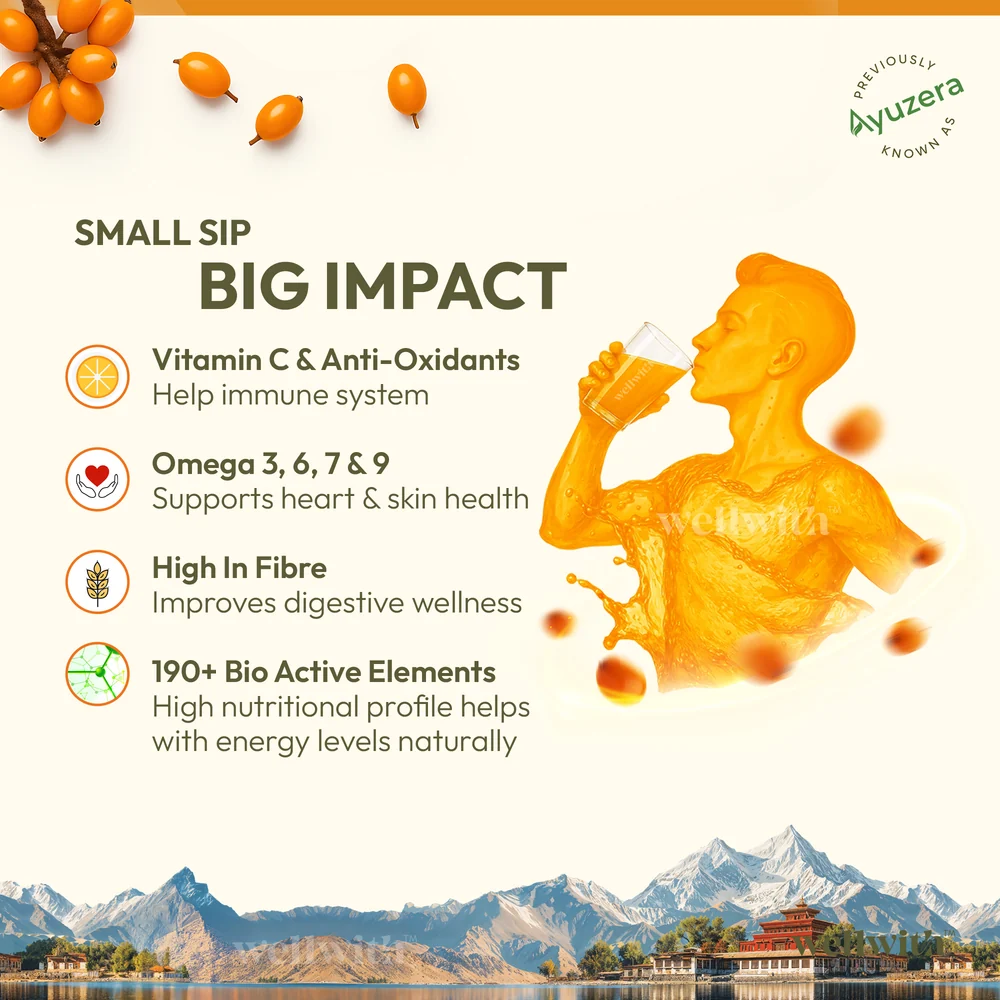 Image 4 of Wellwith Himalayan Sea Buckthorn Pulp