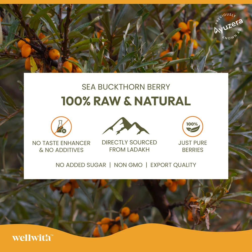 Image 6 of Wellwith Himalayan Sea Buckthorn Pulp