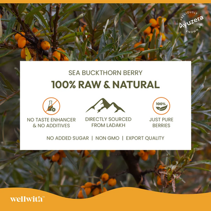 Image 6 of Wellwith Himalayan Sea Buckthorn Pulp