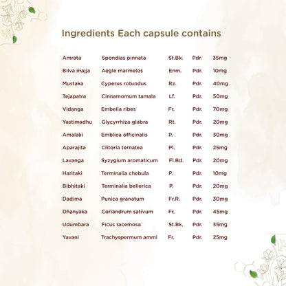 https://cdn.shopify.com/s/files/1/1857/6931/files/shreevarma-amruthuls-capsule-for-better-digestive-health-relief-from-acidity-constipation-and-gastritis-enhances-pitta-balance-triphala-60-capsules-32684105334838.jpg?v=1772445890