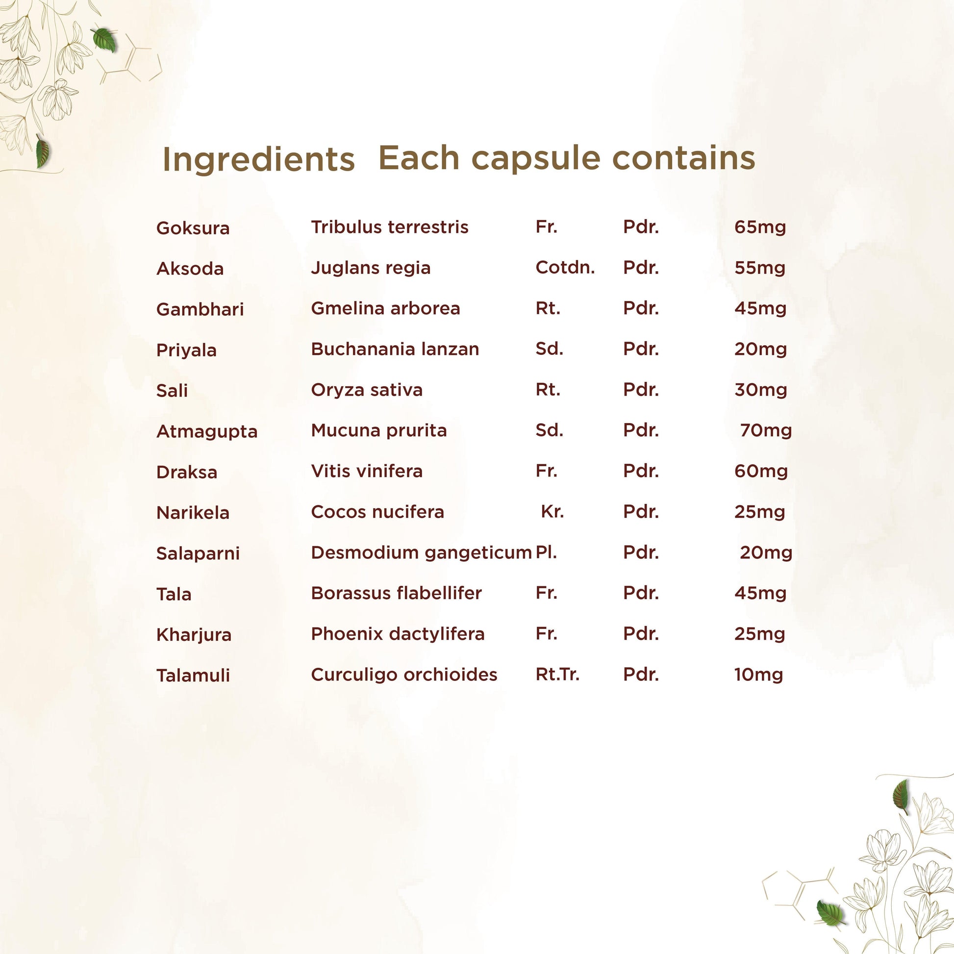 https://cdn.shopify.com/s/files/1/1857/6931/files/shreevarma-capsule-brih-g-capsule-for-chronic-disorder-ayurvedic-supplement-for-nerve-strength-muscle-and-joint-pain-relief-atmagupta-goksura-60-capsules-32684185747510.jpg?v=1762241733