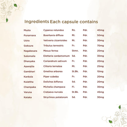 https://cdn.shopify.com/s/files/1/1857/6931/files/shreevarma-capsule-reknown-capsules-for-renal-care-ayurvedic-supplement-for-urinary-infection-kidney-detox-effective-against-kidney-stone-punarnava-goksura-aprajitha-60-capsules-32684_efd40d38-ea26-41fa-a6cf-7a8bf6edca2a.jpg?v=1772528659