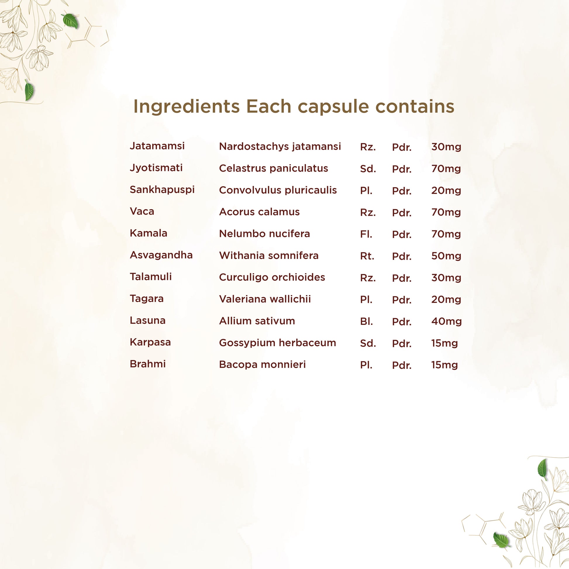 https://cdn.shopify.com/s/files/1/1857/6931/files/shreevarma-manasa-capsule-for-a-healthy-brain-ayurvedic-supplement-for-anxiety-and-stress-relief-ashwagandha-brahmi-improves-focus-and-concentration-60-capsules-32684466470966.jpg?v=1762241835