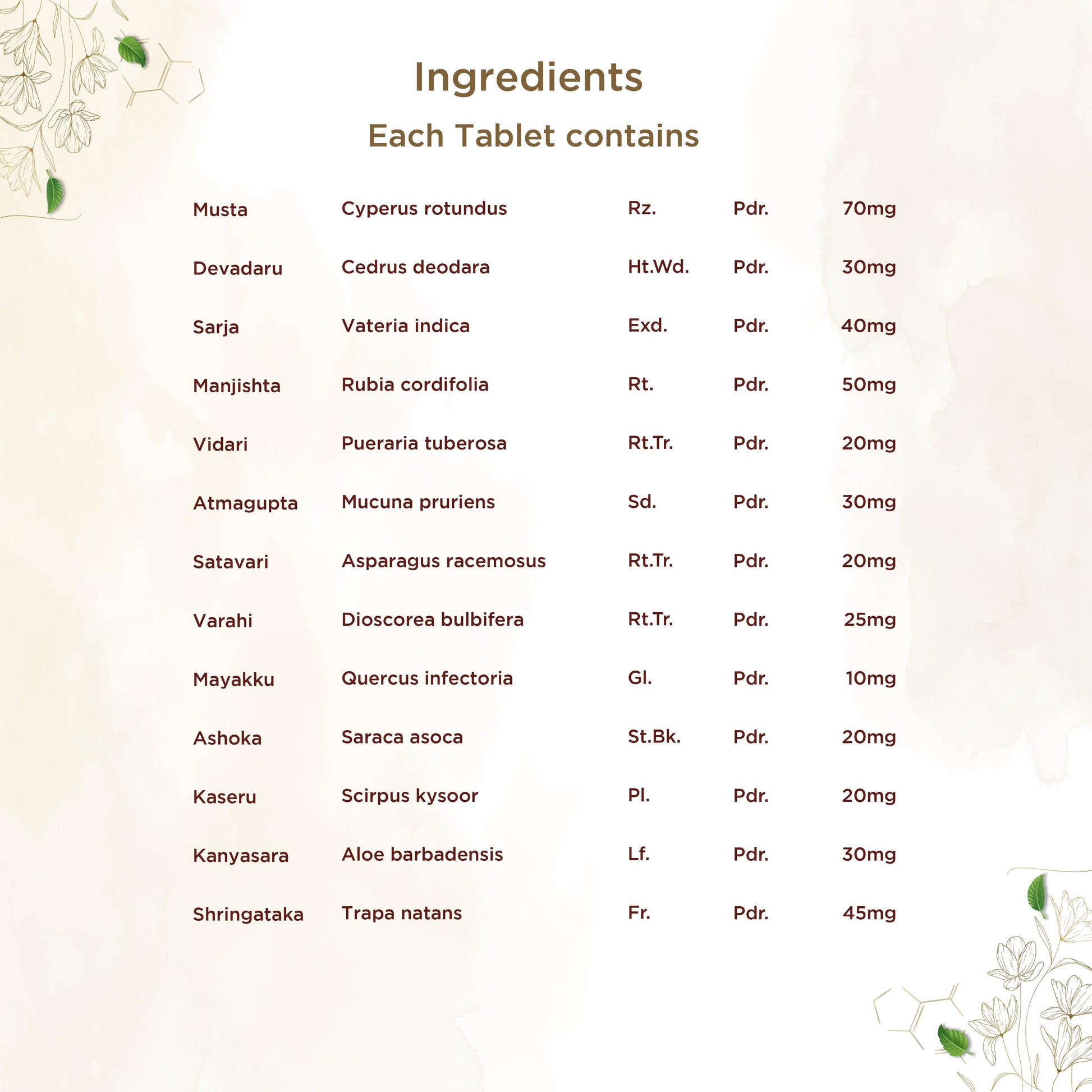 https://cdn.shopify.com/s/files/1/1857/6931/files/shreevarma-tablet-shree-care-tablet-for-women-s-wellness-ayurvedic-supplement-for-menstrual-health-pcod-ashoka-for-hormonal-imbalances-uterine-tonic-60-tablets-32694673342518.jpg?v=1772445212