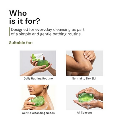 https://cdn.shopify.com/s/files/1/1857/6931/files/siLzZr5Oih.png?v=1782890225