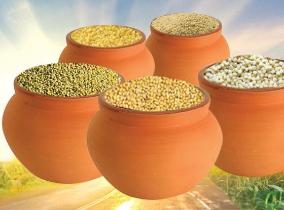 Image 1 of Siridhanyalu Millets - Siridhanya 5 Types Of Unpolished Organic Millets Rice Little, Kodo, Browntop Barnyard & Foxtail