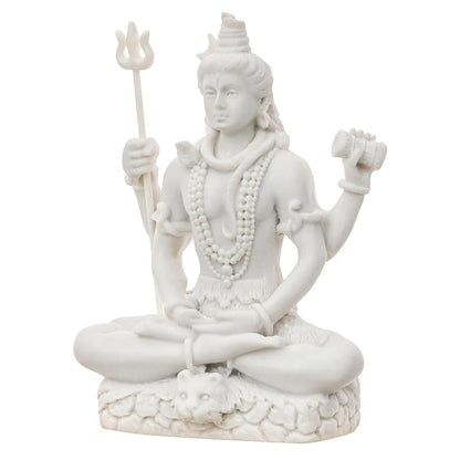 https://cdn.shopify.com/s/files/1/1857/6931/files/sk0Lky54bR.jpg?v=1715002339