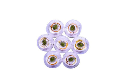 https://cdn.shopify.com/s/files/1/1857/6931/products/skTo6AztoJ.jpg?v=1613889167