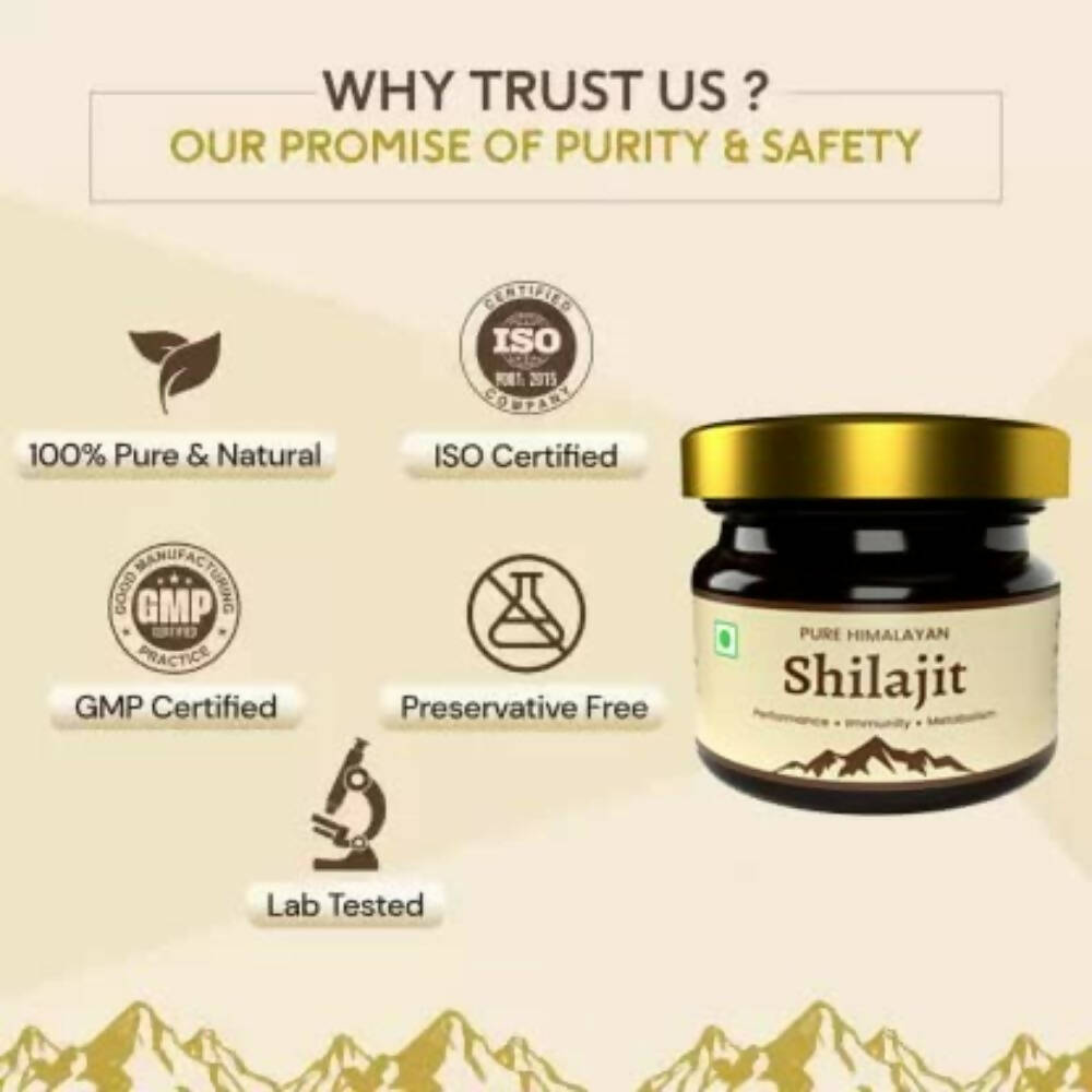 https://cdn.shopify.com/s/files/1/1857/6931/products/sl4jkDvykY.jpg?v=1709530209