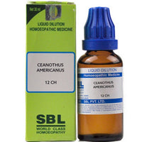 https://cdn.shopify.com/s/files/1/1857/6931/products/sm2SSTMceh.jpg?v=1635326785