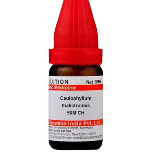 https://cdn.shopify.com/s/files/1/1857/6931/products/snaA7wfxzO.jpg?v=1623841134