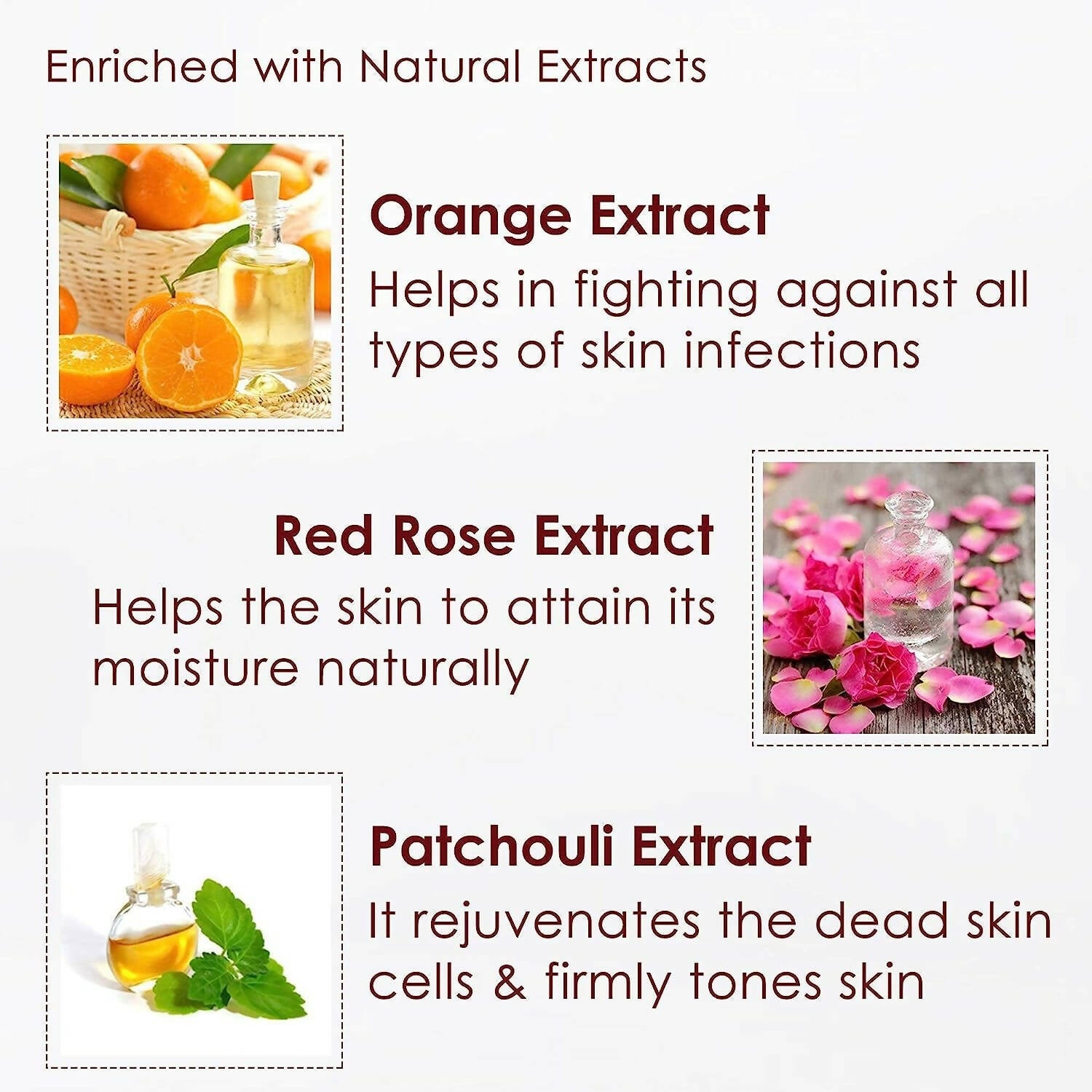 https://cdn.shopify.com/s/files/1/1857/6931/products/so2nRacFAG.jpg?v=1680784067