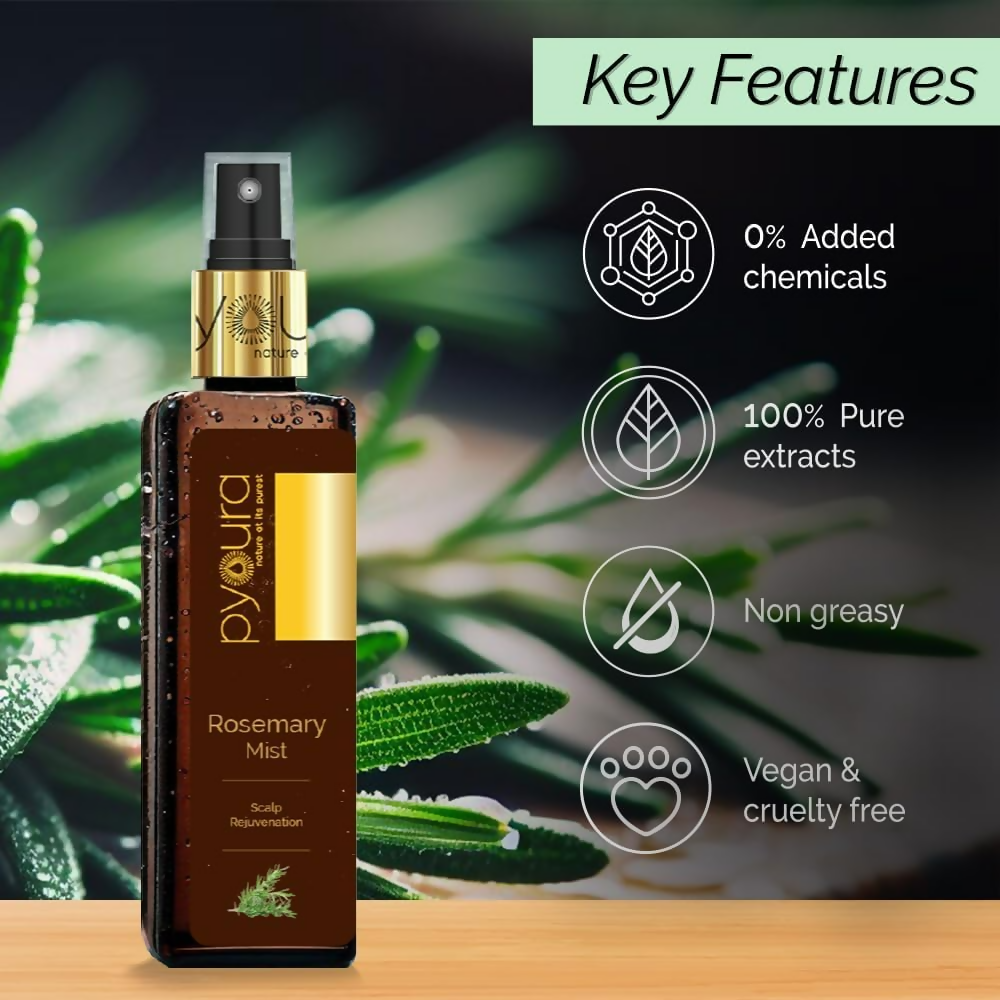 https://cdn.shopify.com/s/files/1/1857/6931/files/so70NJ9ajy.png?v=1731316430