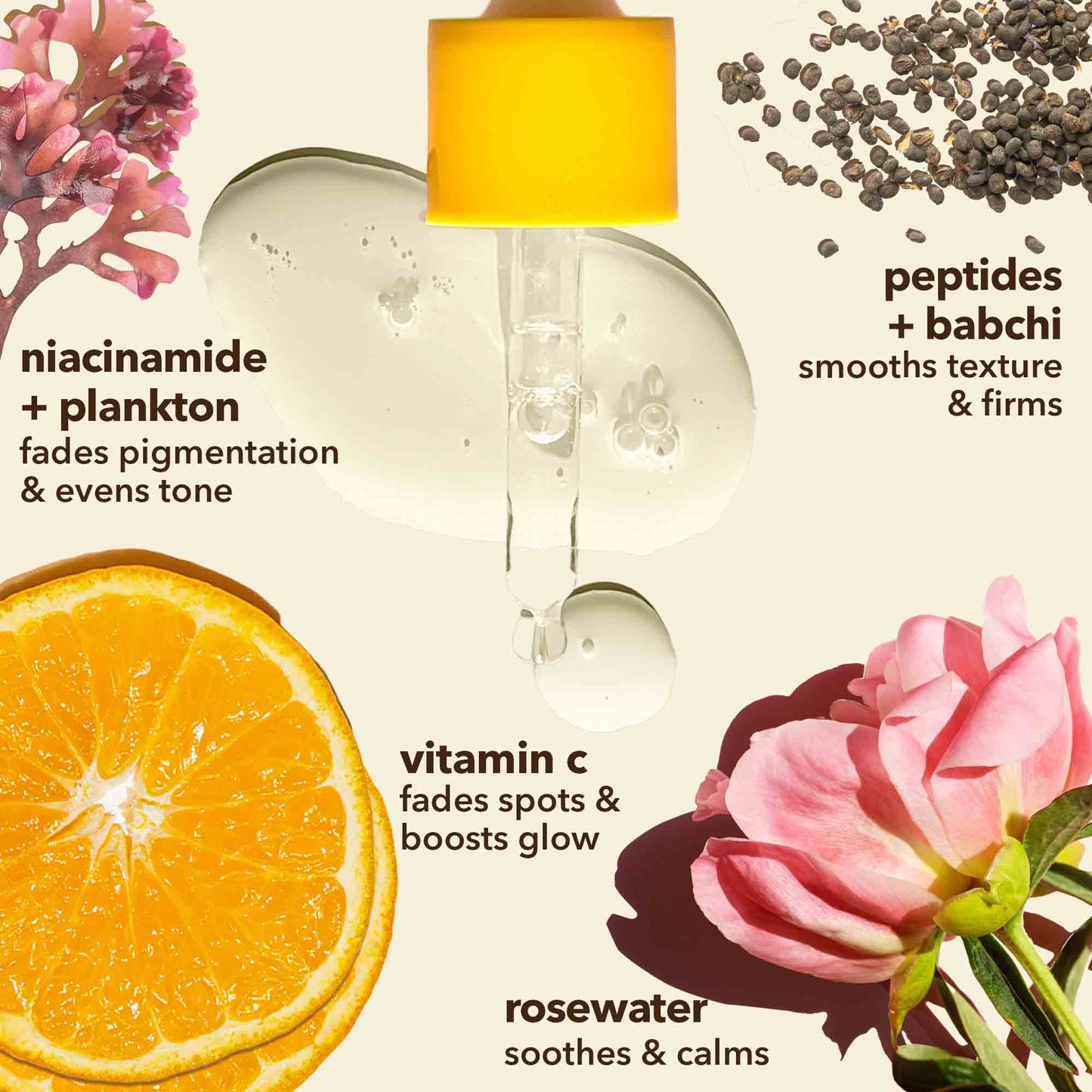 https://cdn.shopify.com/s/files/1/1857/6931/files/sooperboost-face-serum-ingredients-vitamin-c-niacinamide-peptides.jpg?v=1778138348