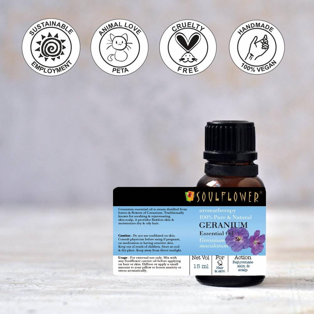 https://cdn.shopify.com/s/files/1/1857/6931/products/sqWcfGXMfe.jpg?v=1624116364