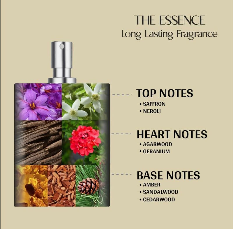 https://cdn.shopify.com/s/files/1/1857/6931/files/stVG0jzesg.jpg?v=1724156679