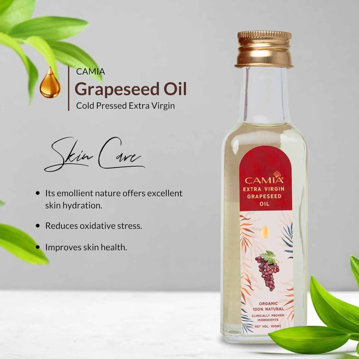 https://cdn.shopify.com/s/files/1/1857/6931/files/stbWrto9yc.png?v=1729509781