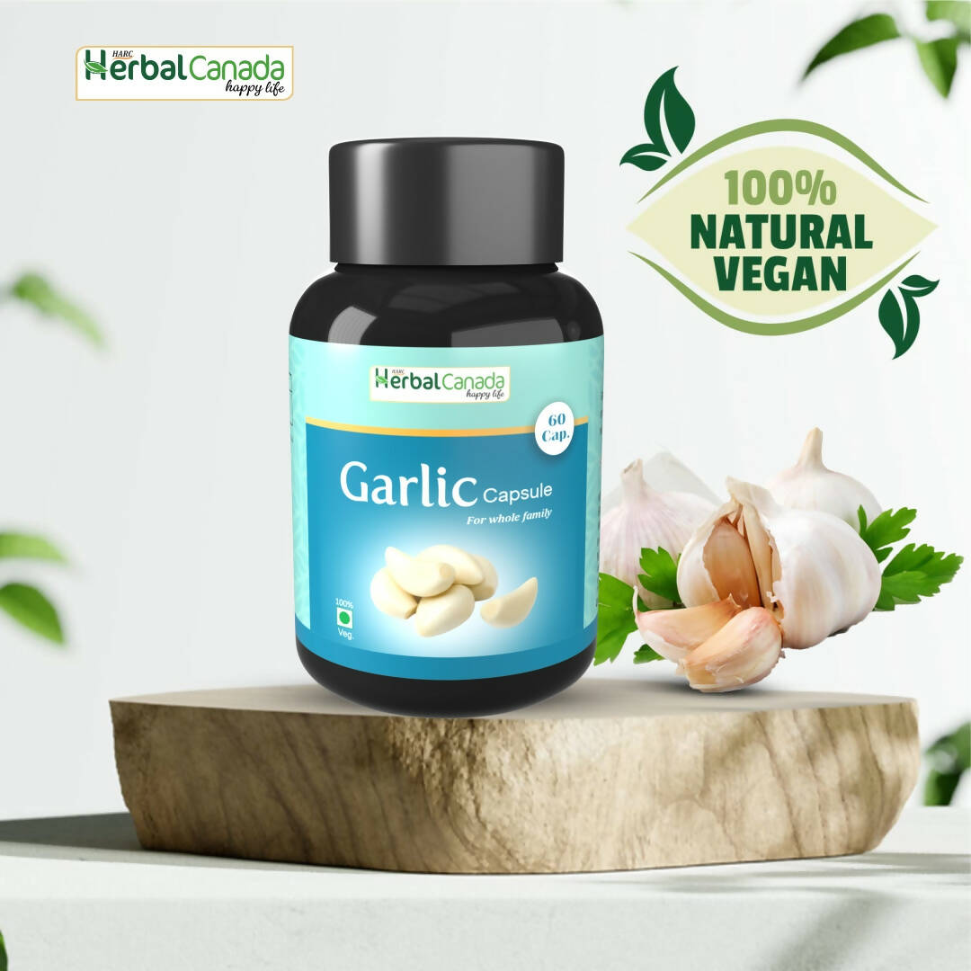 https://cdn.shopify.com/s/files/1/1857/6931/products/stoLuY0Sc1.jpg?v=1702465901