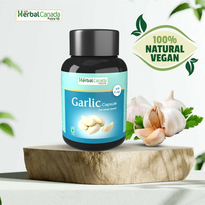 https://cdn.shopify.com/s/files/1/1857/6931/products/stoLuY0Sc1.jpg?v=1702465901