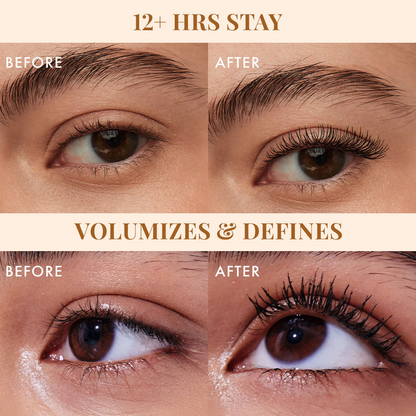 https://cdn.shopify.com/s/files/1/1857/6931/files/stxKJ8Tqxa.png?v=1741175509