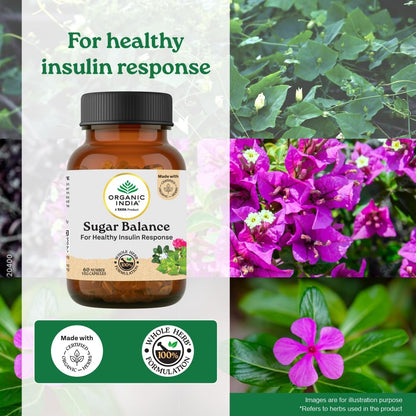 https://cdn.shopify.com/s/files/1/1857/6931/files/sugar_3.jpg?v=1763548116