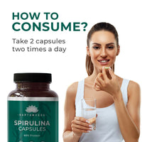 https://cdn.shopify.com/s/files/1/1857/6931/files/svN4MKzNsr.jpg?v=1711694176